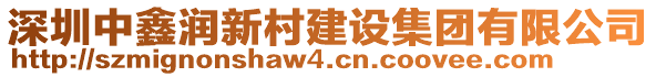 深圳中鑫潤新村建設(shè)集團(tuán)有限公司