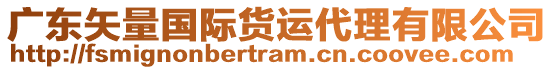 廣東矢量國際貨運(yùn)代理有限公司