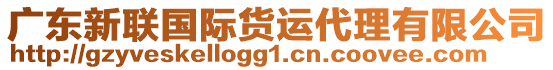 廣東新聯國際貨運代理有限公司