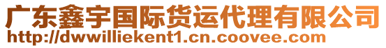 廣東鑫宇國(guó)際貨運(yùn)代理有限公司