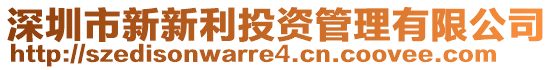 深圳市新新利投資管理有限公司