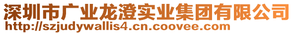 深圳市廣業龍澄實業集團有限公司