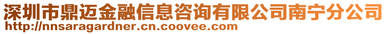 深圳市鼎邁金融信息咨詢(xún)有限公司南寧分公司