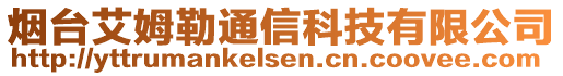 煙臺(tái)艾姆勒通信科技有限公司