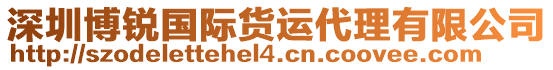 深圳博銳國際貨運代理有限公司