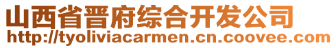 山西省晉府綜合開(kāi)發(fā)公司