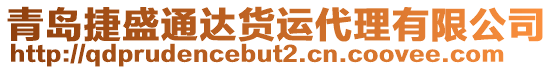 青島捷盛通達(dá)貨運(yùn)代理有限公司