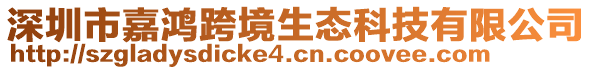 深圳市嘉鴻跨境生態(tài)科技有限公司