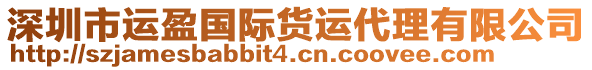 深圳市運(yùn)盈國際貨運(yùn)代理有限公司