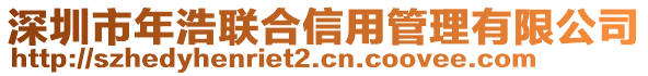 深圳市年浩聯(lián)合信用管理有限公司