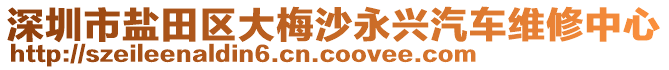 深圳市盐田区大梅沙永兴汽车维修中心