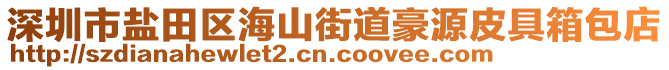 深圳市鹽田區(qū)海山街道豪源皮具箱包店