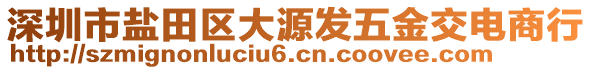 深圳市鹽田區(qū)大源發(fā)五金交電商行