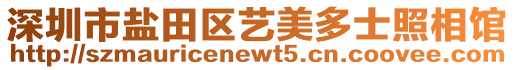 深圳市鹽田區(qū)藝美多士照相館