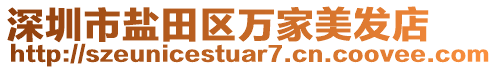 深圳市鹽田區(qū)萬(wàn)家美發(fā)店