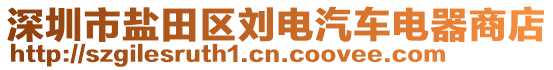 深圳市鹽田區劉電汽車電器商店