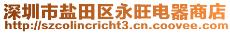 深圳市鹽田區(qū)永旺電器商店