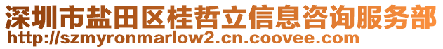 深圳市鹽田區(qū)桂哲立信息咨詢服務(wù)部