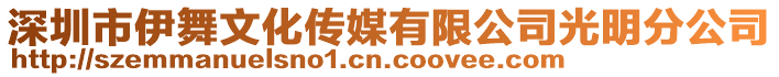 深圳市伊舞文化傳媒有限公司光明分公司