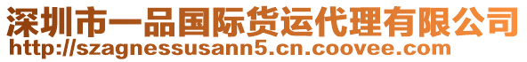 深圳市一品國(guó)際貨運(yùn)代理有限公司