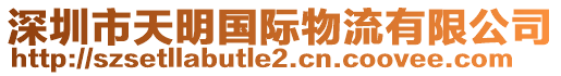 深圳市天明國(guó)際物流有限公司