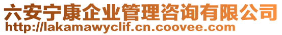 六安寧康企業(yè)管理咨詢有限公司