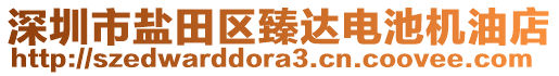深圳市鹽田區(qū)臻達電池機油店