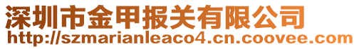 深圳市金甲报关有限公司