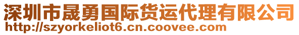 深圳市晟勇國(guó)際貨運(yùn)代理有限公司