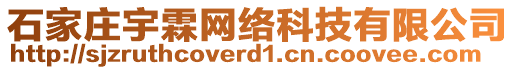 石家莊宇霖網絡科技有限公司