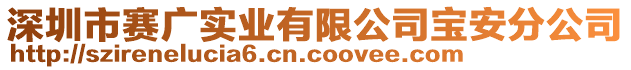 深圳市賽廣實業(yè)有限公司寶安分公司