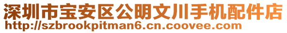 深圳市寶安區(qū)公明文川手機配件店