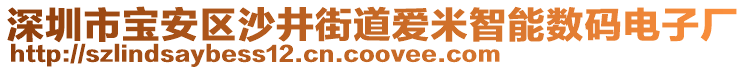 深圳市寶安區(qū)沙井街道愛米智能數(shù)碼電子廠