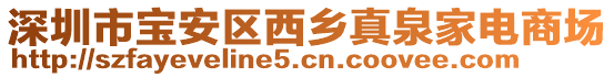 深圳市寶安區(qū)西鄉(xiāng)真泉家電商場