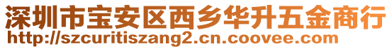 深圳市寶安區(qū)西鄉(xiāng)華升五金商行