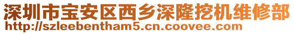 深圳市寶安區(qū)西鄉(xiāng)深隆挖機(jī)維修部