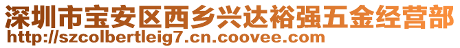 深圳市寶安區(qū)西鄉(xiāng)興達(dá)裕強(qiáng)五金經(jīng)營部