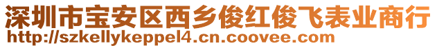 深圳市寶安區(qū)西鄉(xiāng)俊紅俊飛表業(yè)商行