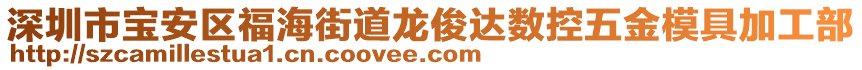 深圳市寶安區(qū)福海街道龍俊達(dá)數(shù)控五金模具加工部