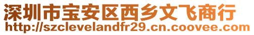 深圳市寶安區(qū)西鄉(xiāng)文飛商行