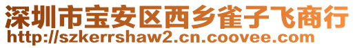 深圳市寶安區(qū)西鄉(xiāng)雀子飛商行