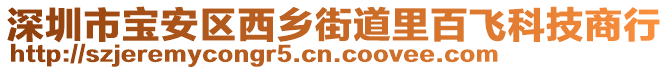 深圳市寶安區(qū)西鄉(xiāng)街道里百飛科技商行