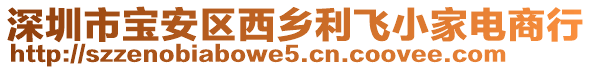 深圳市寶安區(qū)西鄉(xiāng)利飛小家電商行