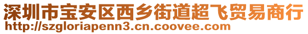 深圳市寶安區(qū)西鄉(xiāng)街道超飛貿(mào)易商行