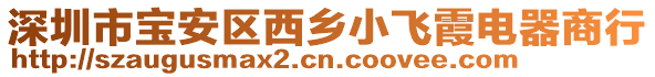 深圳市寶安區(qū)西鄉(xiāng)小飛霞電器商行