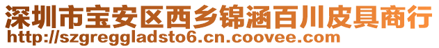 深圳市寶安區(qū)西鄉(xiāng)錦涵百川皮具商行