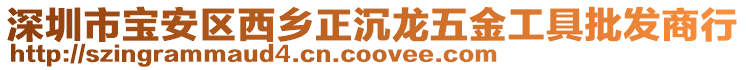 深圳市寶安區(qū)西鄉(xiāng)正沉龍五金工具批發(fā)商行