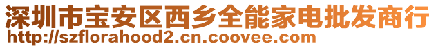 深圳市寶安區(qū)西鄉(xiāng)全能家電批發(fā)商行