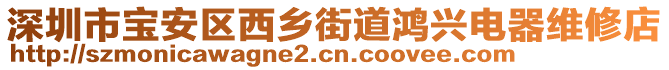 深圳市寶安區西鄉街道鴻興電器維修店