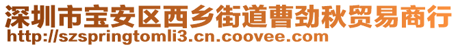 深圳市寶安區(qū)西鄉(xiāng)街道曹勁秋貿(mào)易商行